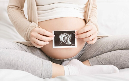 Fetüs Nedir? Evreleri Nelerdir? Gelişimi Nasıldır?